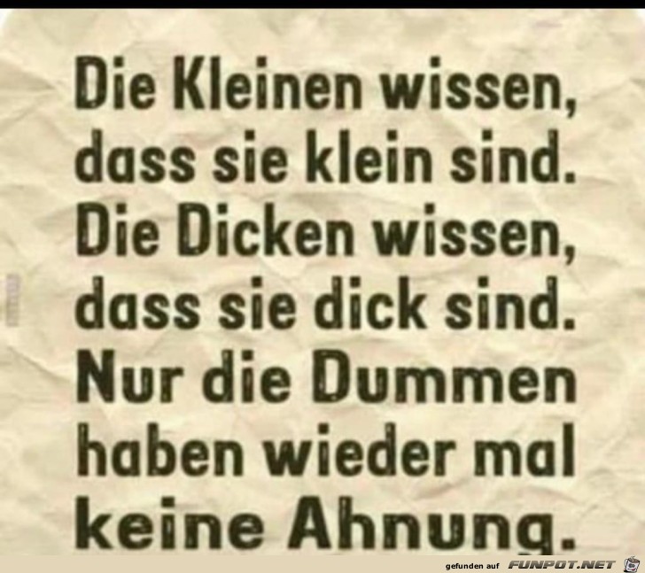 Die Dummen