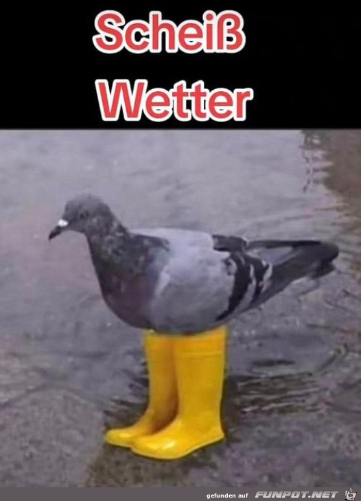 Mieses Wetter