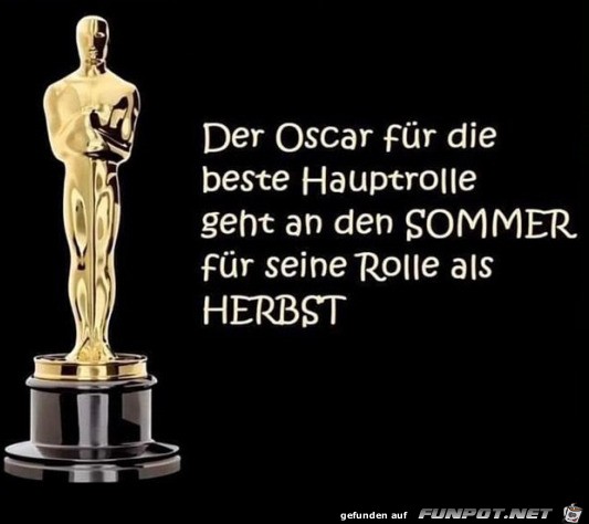 Der Oscar fr den Sommer