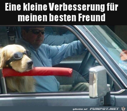 Bequemer fr den Hund