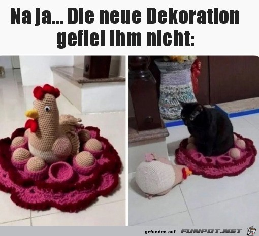 Katze hat Deko nicht gefallen