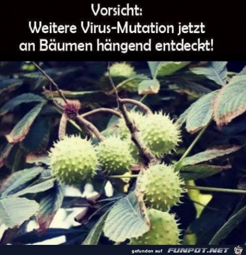 Vorsicht vor Virus-Mutation