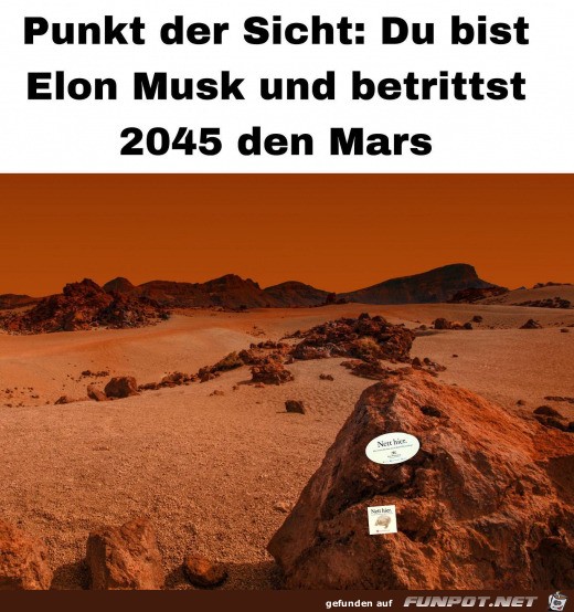 Was Musk auf dem Mars sehen wird