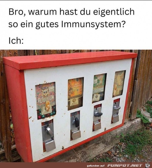 Bro, warum hast du...