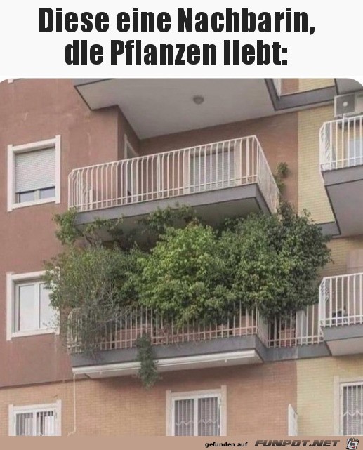 Viele Pflanzen