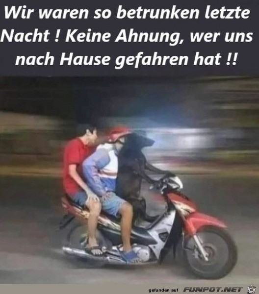 Wer hat uns heimgefahren?