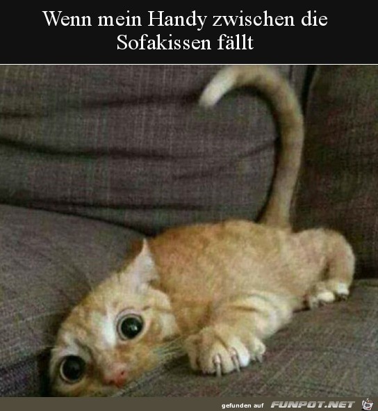 Steckt im Sofa