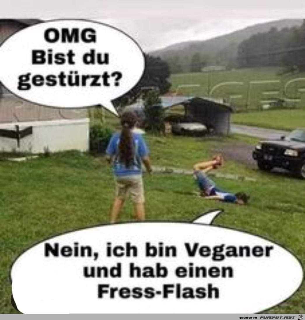 witzige Bilder aus verschiedenen Blogs