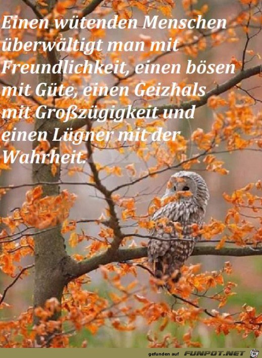 So ist es