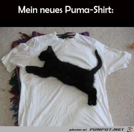 Neues Shirt