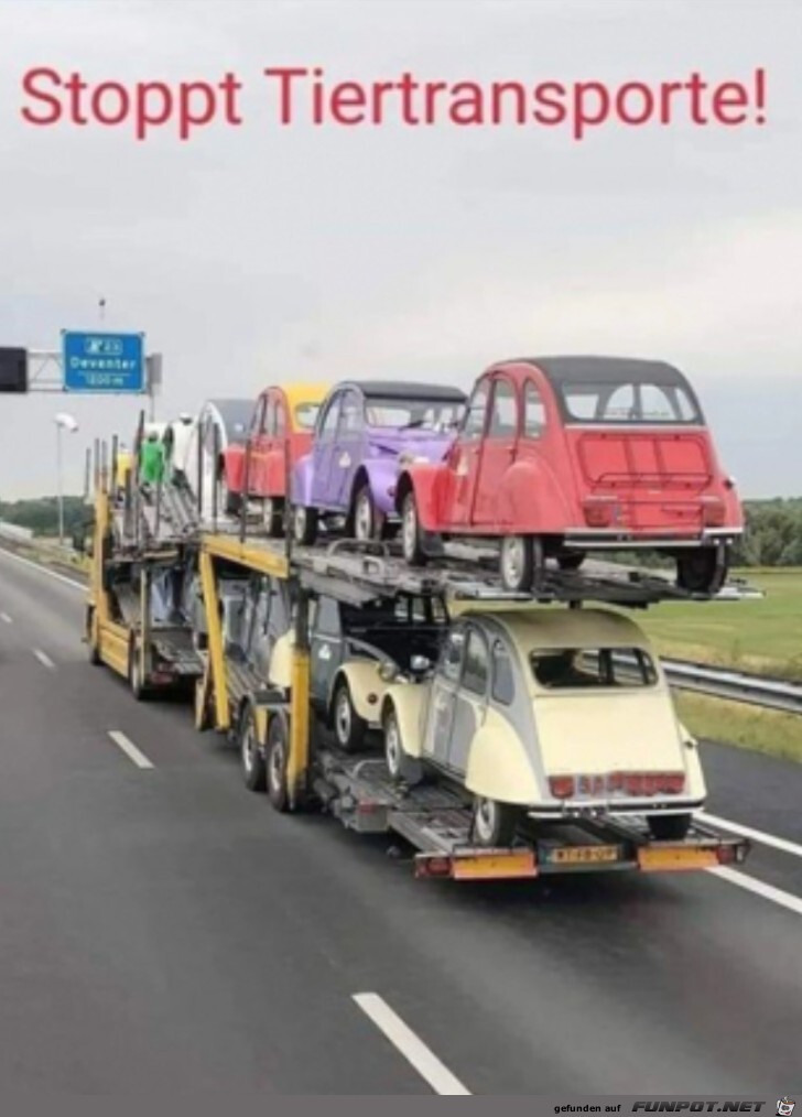 Ein Tiertransport