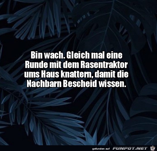 Bin wach