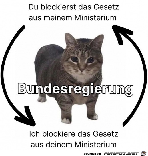 Die Bundesregierung