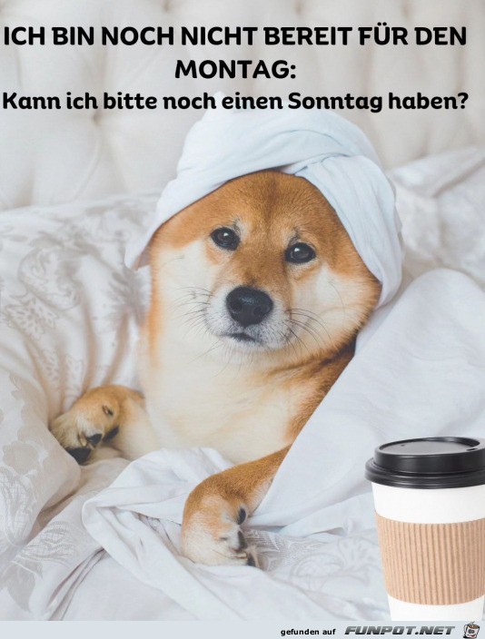 Nicht bereit für den Montag Nicht bereit für den Montag