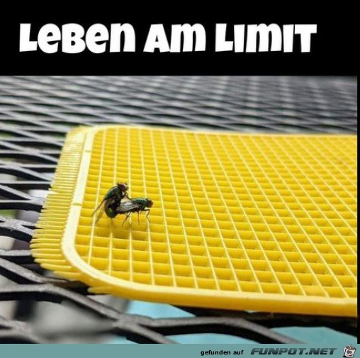 Leben am Limit