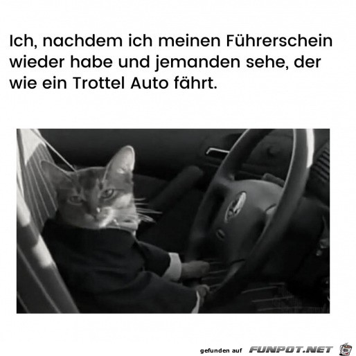 witzige Bilder aus verschiedenen Blogs