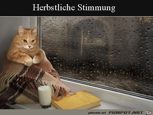 Herbst-Stimmung