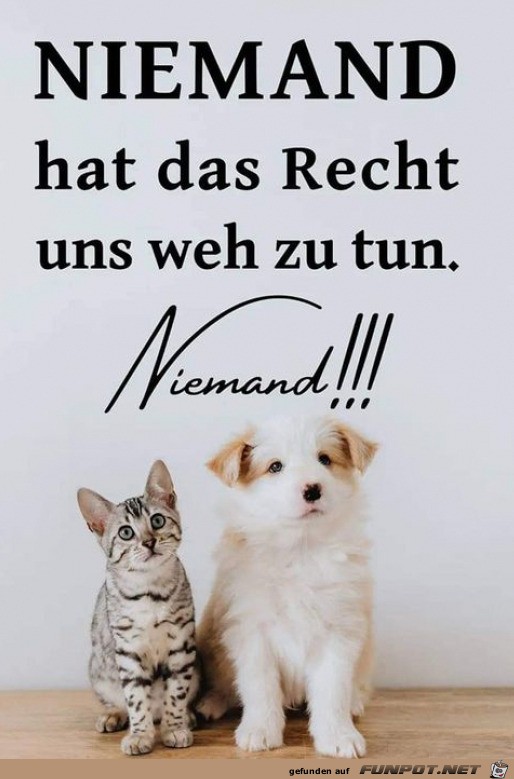 Niemand hat das Recht