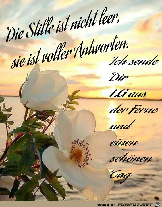 Die Stille ist nicht leer