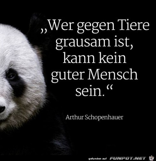 Kein guter Mensch Kein guter Mensch