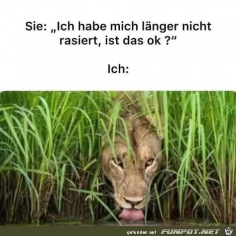 Lnger nicht rasiert