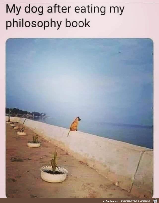 Hund hat Philosophie-Buch gelesen