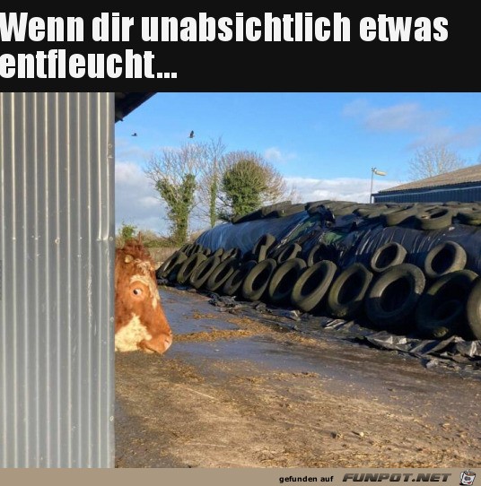 Etwas entfleucht