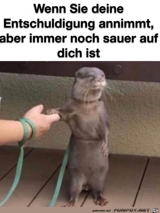 Sie ist immer noch sauer