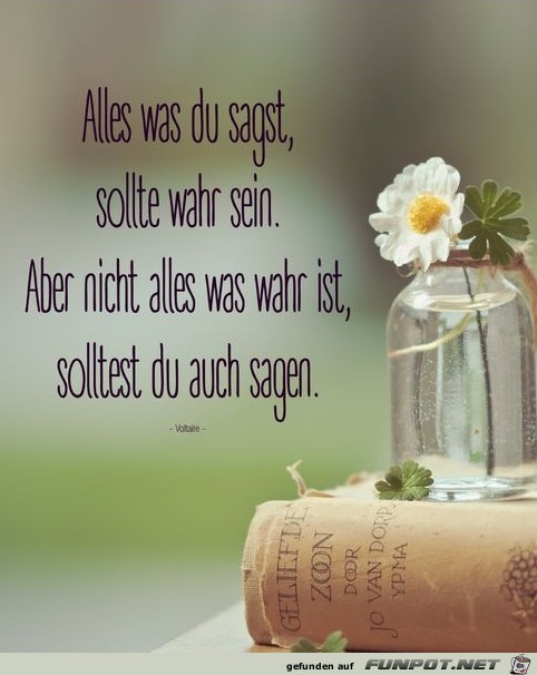 Alles was du sagst