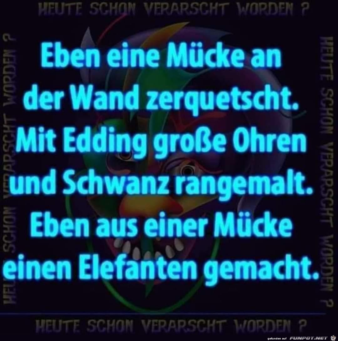 Eine Mcke