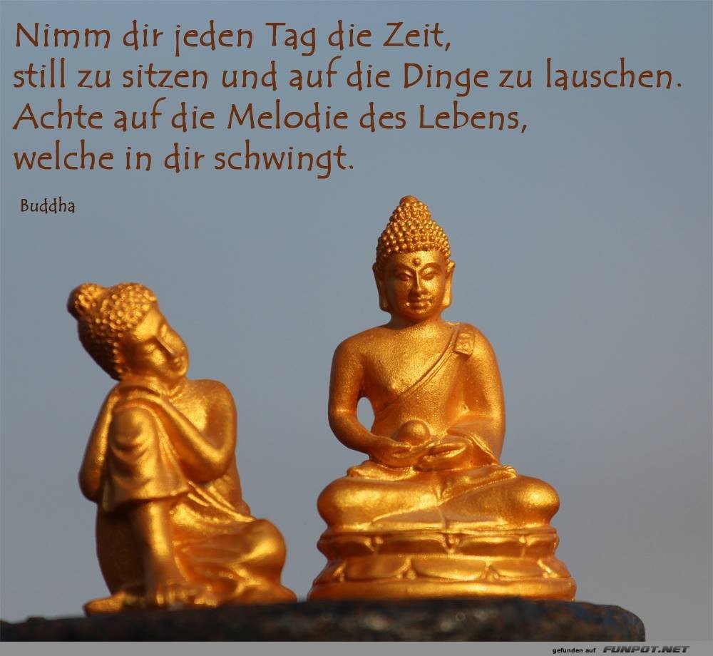 herziger Spruch 'Achte auf die Melodie des Lebens'