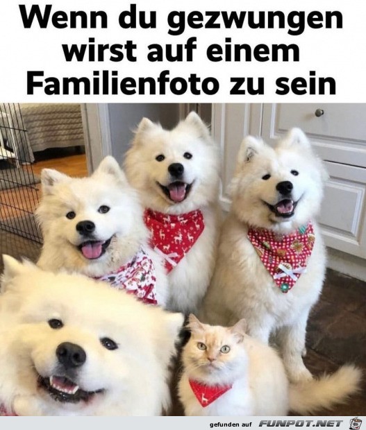 Keine Lust auf ein Foto