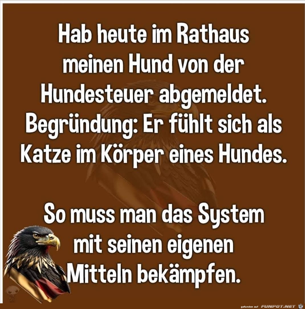 Im Rathaus