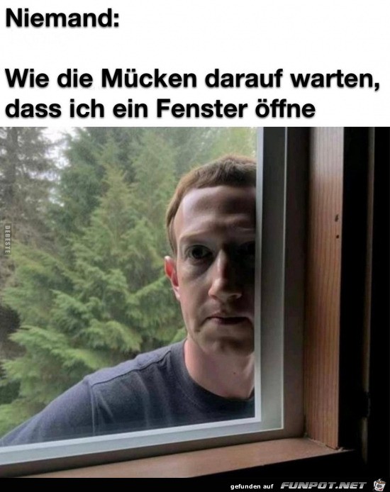 Die Mcken warten