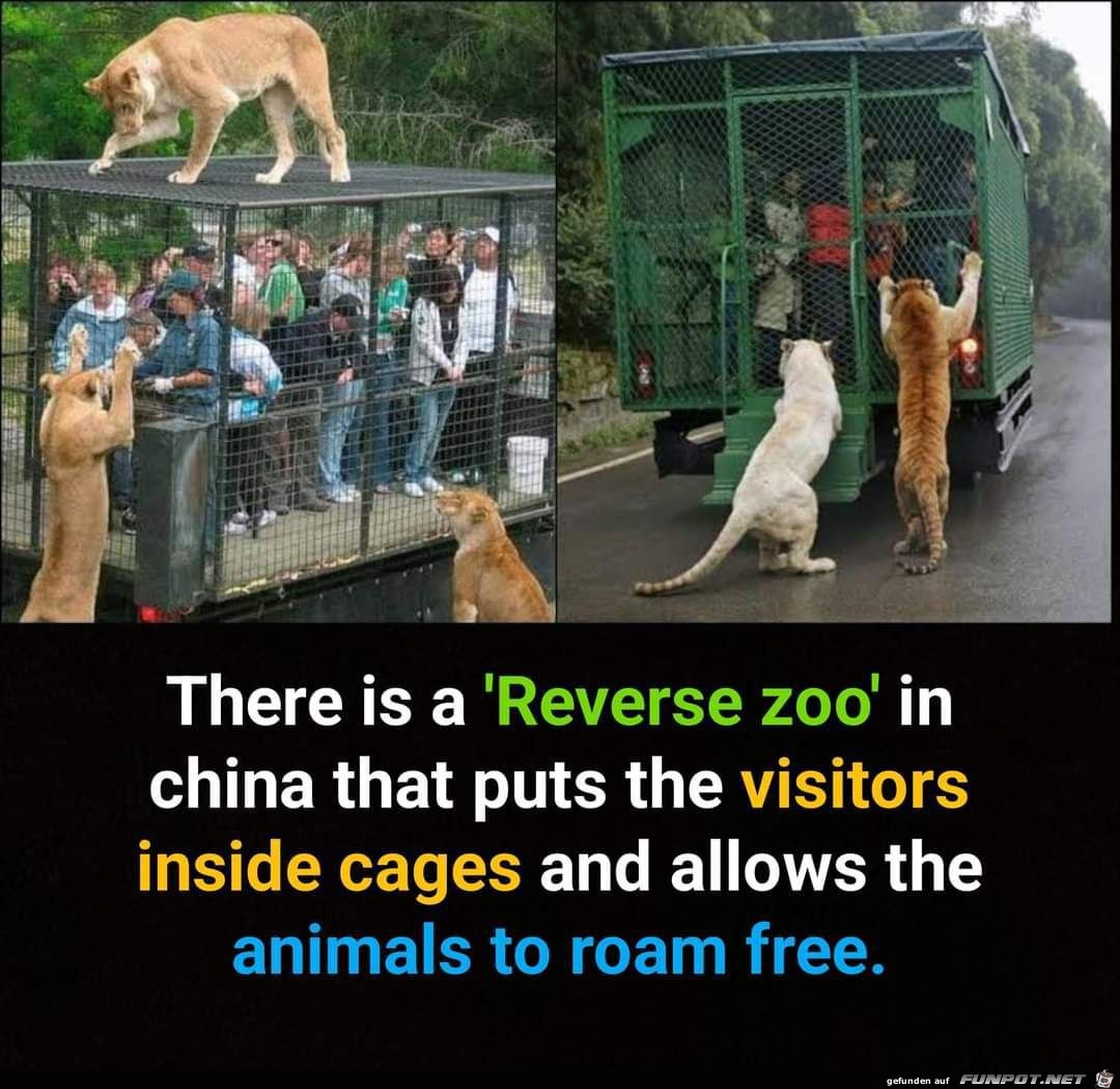 Ein umgekehrter Zoo