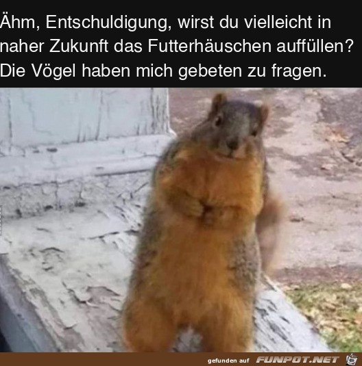 Frage fr die Vgel