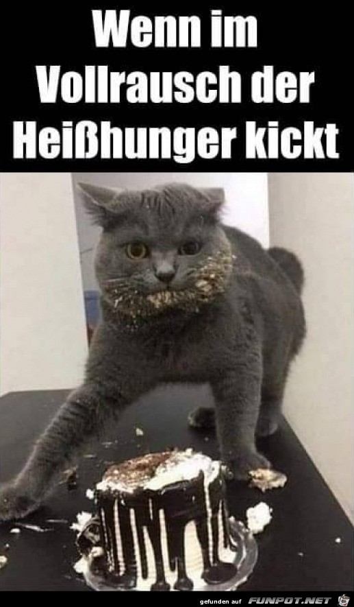 Heihunger gehabt