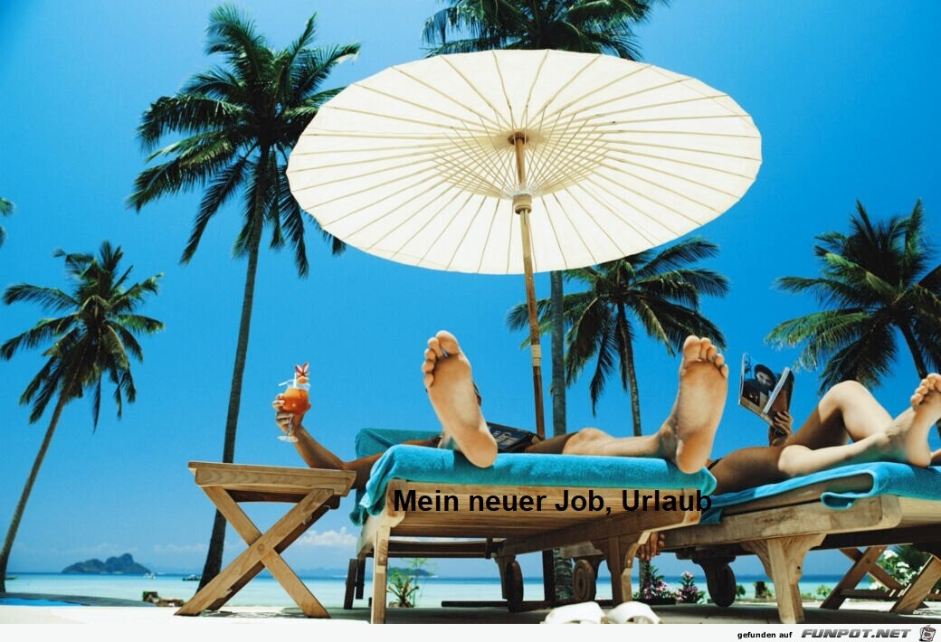 Neuer Job