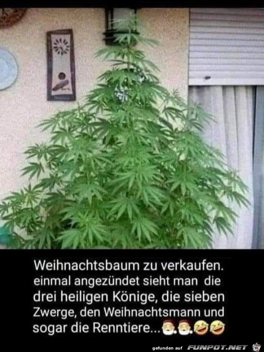 Cooler Weihnachtsbaum