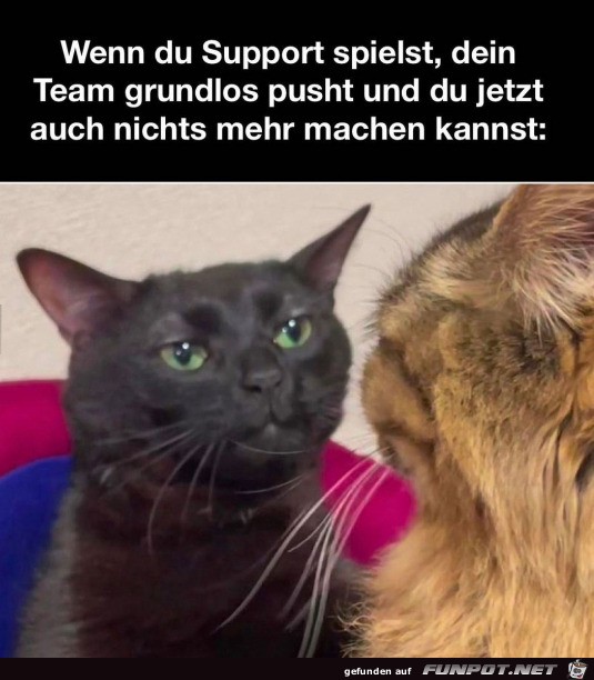 Da kann man nichts mehr machen