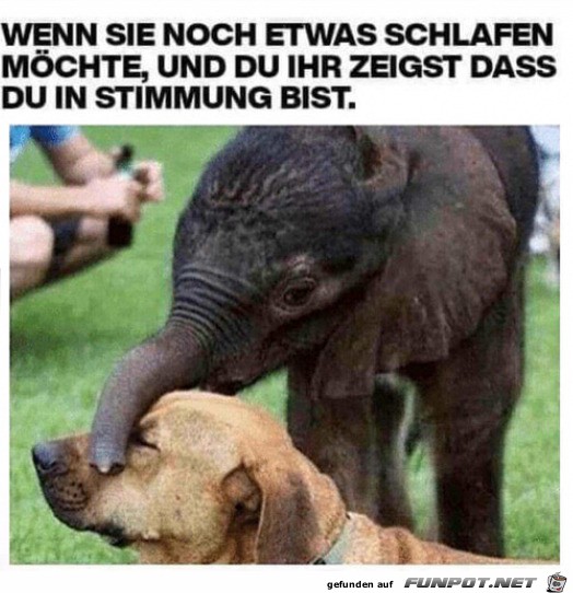 Sie will noch schlafen