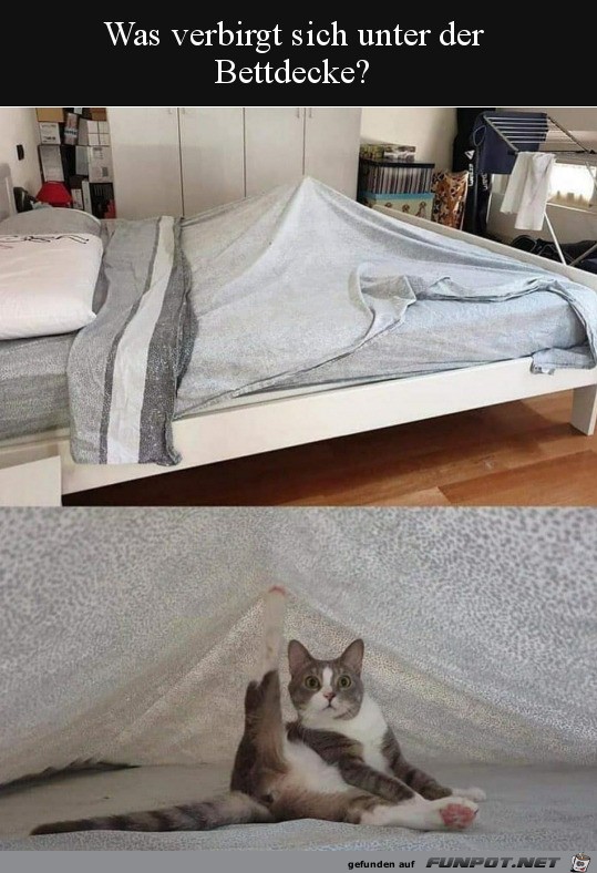 Was ist unter der Bettdecke?
