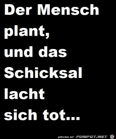 Der Mensch plant