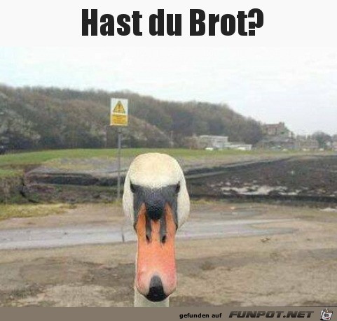 Hast du Brot?