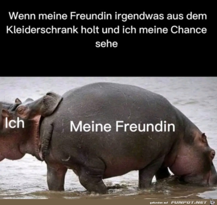 Meine Chance