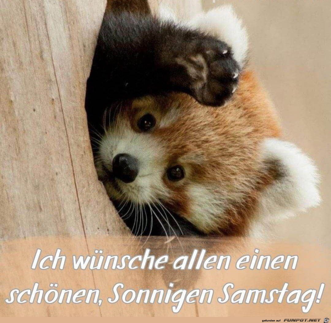 Schnen Samstag