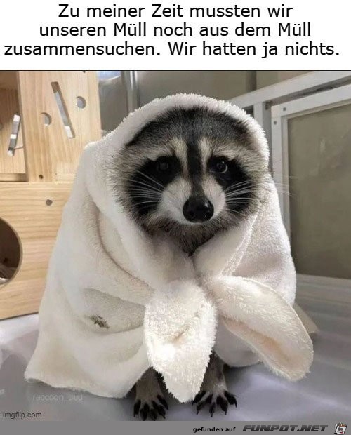 Zu meiner Zeit