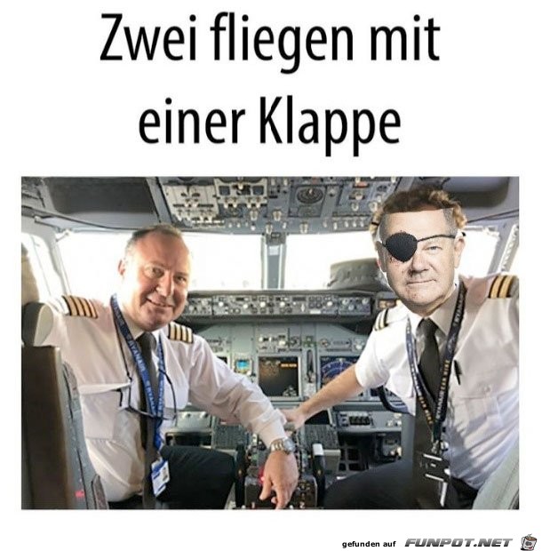 Zwei Fliegen mit einer Klappe