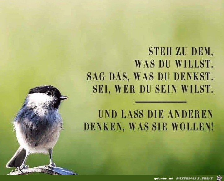 Lass die anderen denken was sie wollen