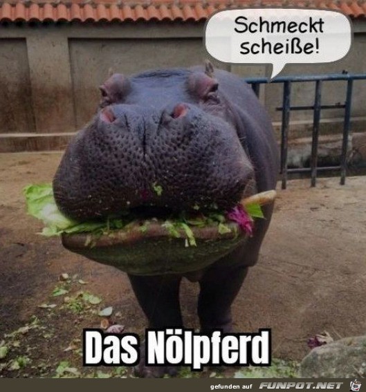 Schmeckt nicht